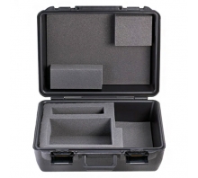 תמונה TDP43ME-CASE.