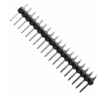 תמונה 0010897381.
