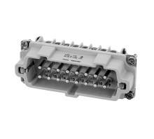 תמונה C146 10A016 810 1.