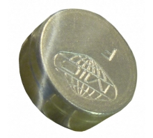 תמונה F1109045.