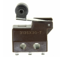 תמונה 313SX30-T.