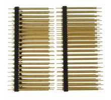 תמונה ACICE0206.