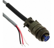 תמונה CCA3PC25.