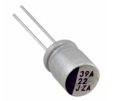 תמונה 63PZA22M8X10.