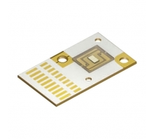תמונה LE B P1W-EYFY-24-0-F00-T01.