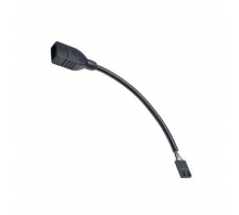 תמונה U024-06N-IDC.
