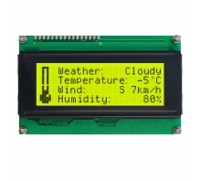 תמונה LCD2041-V.
