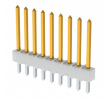 תמונה 0022102092.