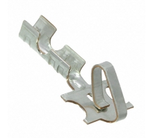 תמונה 0008520101.