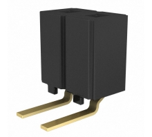תמונה CES-102-02-G-S-RA.