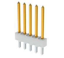 תמונה 0022102052.