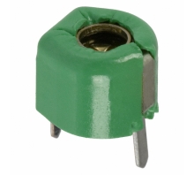תמונה TZ03R300E169B00.