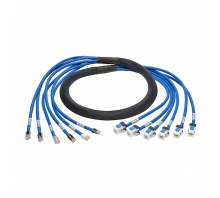 תמונה N261-015-6MF-BL.