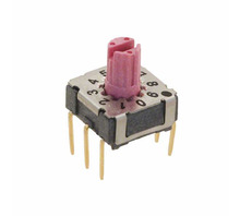 תמונה RDMBR10P1T.