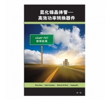 תמונה GAN FET BOOK SIMPLIFIED CHINESE VERSION.