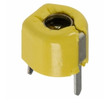 תמונה TZ03P450E169B00.