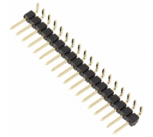 תמונה 61301811021.