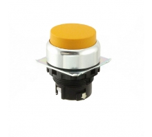 תמונה A22NZ-RPM-TYA.
