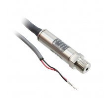 תמונה US381-000005-100PA.