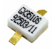 תמונה MAGX-000035-01000S.