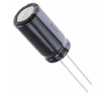 תמונה ESW108M035AL4AR.