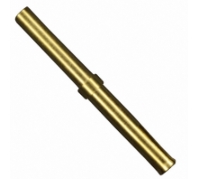 תמונה 162A18419X.
