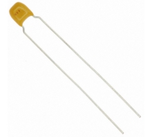 תמונה SK017C102KAR.