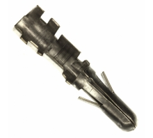 תמונה 350391-1.