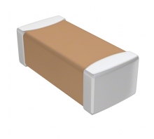 תמונה CL42B102KJFNNNE.