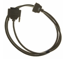 תמונה ACICE0403.