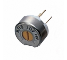 תמונה RJ13P105.