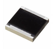 תמונה RP42525R0100GTTR.