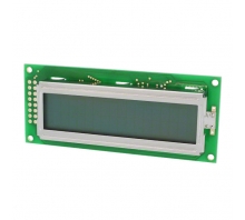 תמונה LCM-S01602DSF/F.