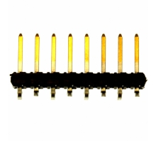 תמונה 68301-1013.