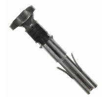 תמונה 350537-7.