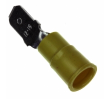 תמונה 8290.