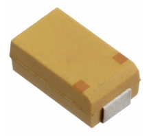 תמונה T513D107K016BH61107505.
