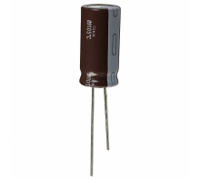 תמונה EKXG161ELL101MK25S.
