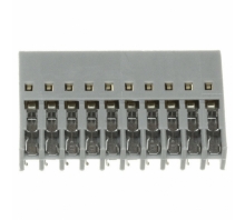 תמונה CHG-2020-001010-KCP.