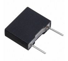 תמונה R76PD1220SE00J.