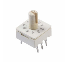 תמונה 221ADC10.