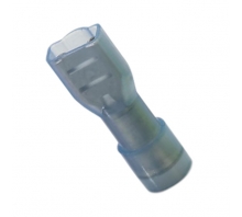 תמונה 3240540.
