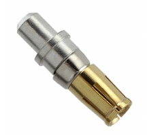 תמונה 132A12059X.