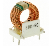 תמונה 8101-RC.