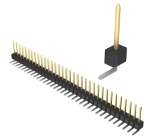תמונה PBC34SGAN.