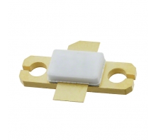 תמונה MAGX-002731-030L00.