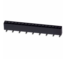 תמונה NPTC171KFXC-RC.