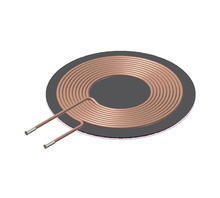 תמונה WT505090-10F2-A11-G1.