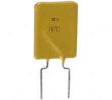 תמונה RHEF1000-2.
