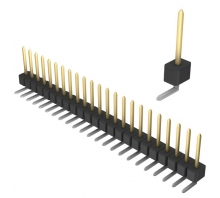 תמונה PBC23SGAN.